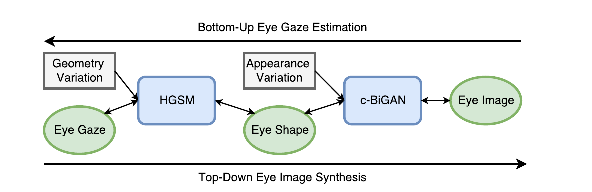 A Hierarchical Generative Model for Eye Image Synthesis and Eye Gaze Estimation